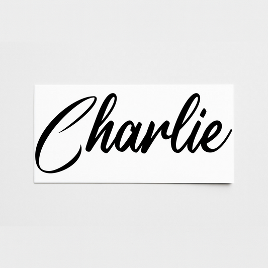 Vinyl Campervan Name Decal - Font 1